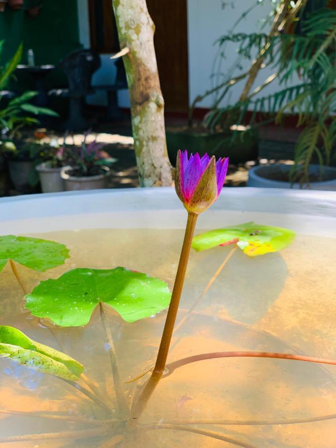 Vinu'S Place マータラ エクステリア 写真